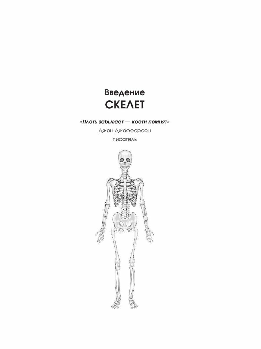 Записано на костях. Тайны, оставшиеся после нас - фото №16