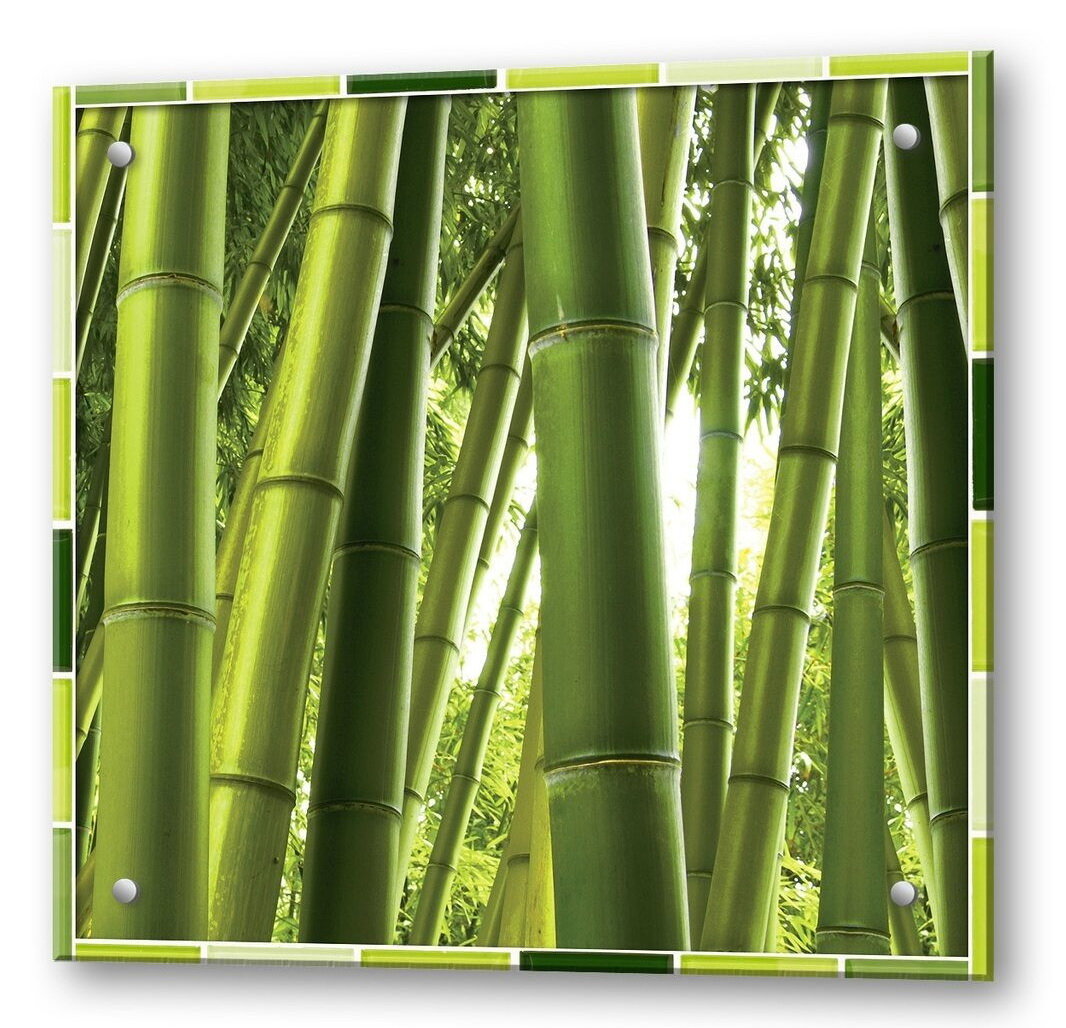 Кухонный экран из закаленного стекла 