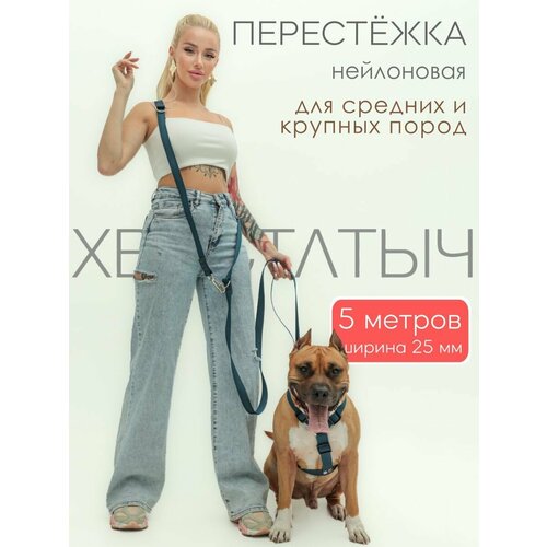 Перестежка для собак PRO прошитая нейлон 5 м х 25 мм (темно-синий)