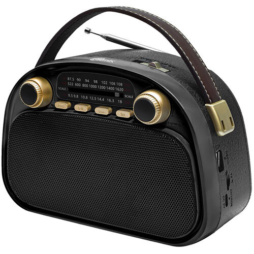 Радиоприемник Ritmix RPR-040 Black