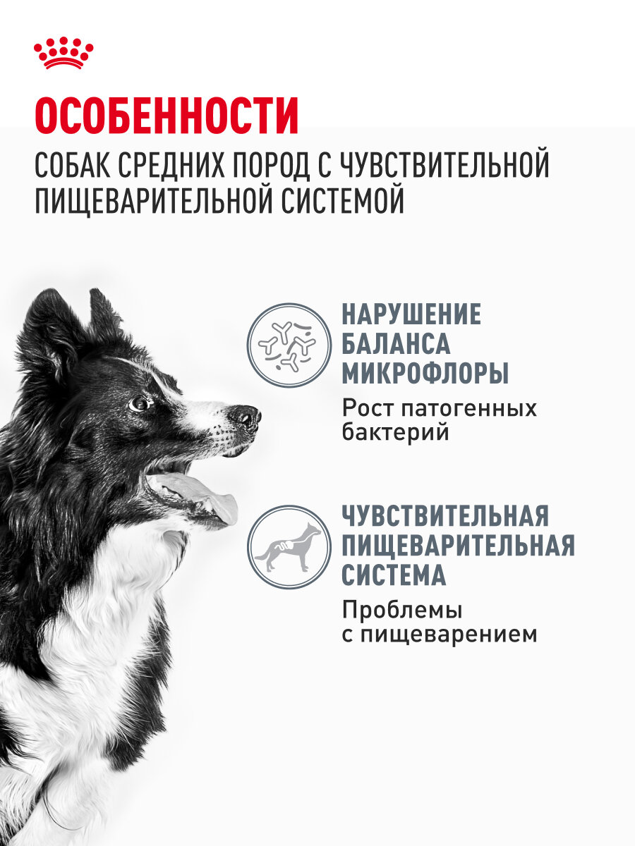 Сухой корм для собак средних пород Royal Canin Medium Digestive Care при чувствительном пищеварении, 3 кг — фото 1