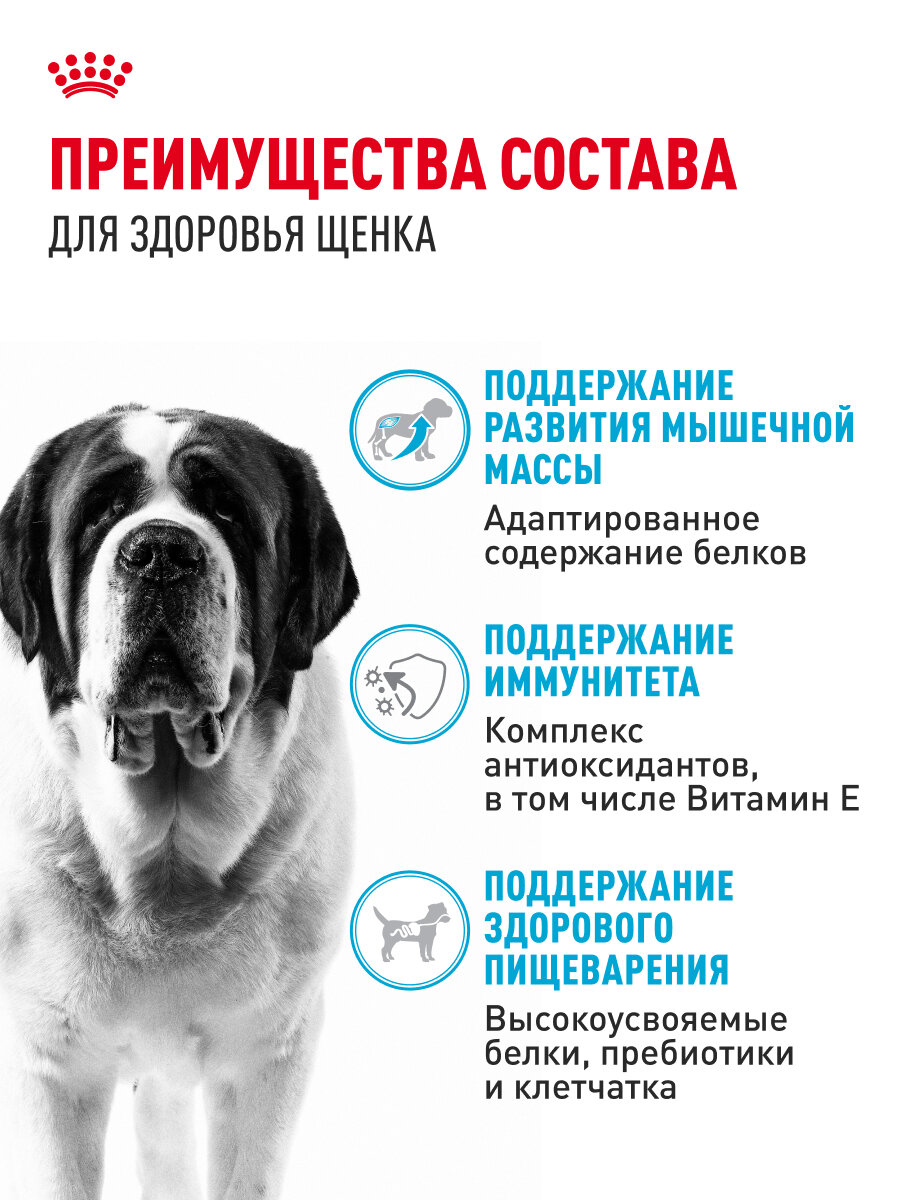 Корм сухой Royal Canin Giant Junior для щенков очень крупных пород в возрасте от 8 до 18/24 месяцев 15 кг — фото 1