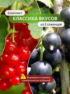 Основная фотография от вендора