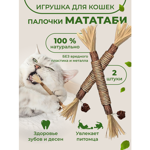 Игрушка-дразнилка из Мататаби для кошек. Лакомство для чистки зубов с эффектом кошачьей мяты, 2 штуки