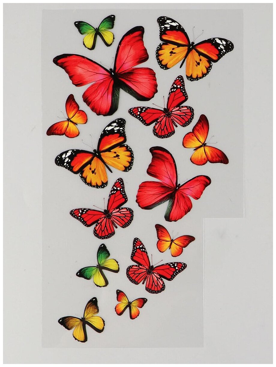 Термотрансфер "Бабочки ", 11*19,5 см