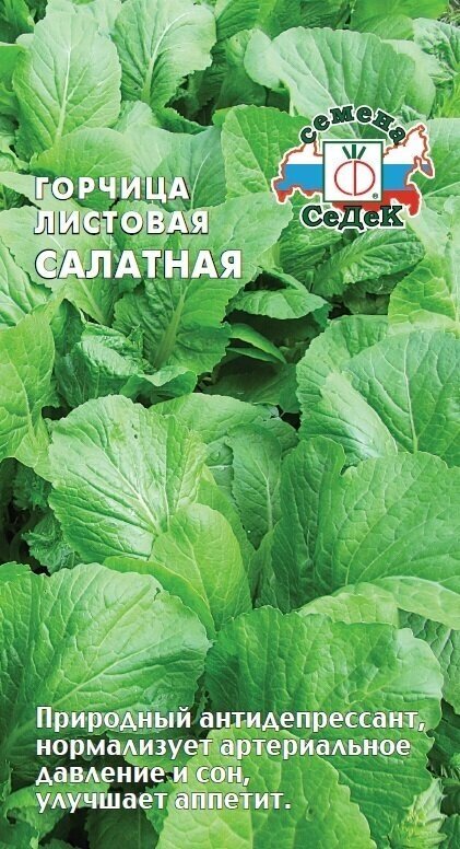 Горчица Салатная салатная 1г (Седек)