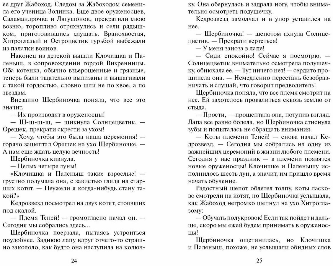 Книга Тайна Щербатой. Книга 1. Предназначение - фото №5