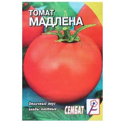 Семена Томат Мадлена, 0,1 г 11 упаковок