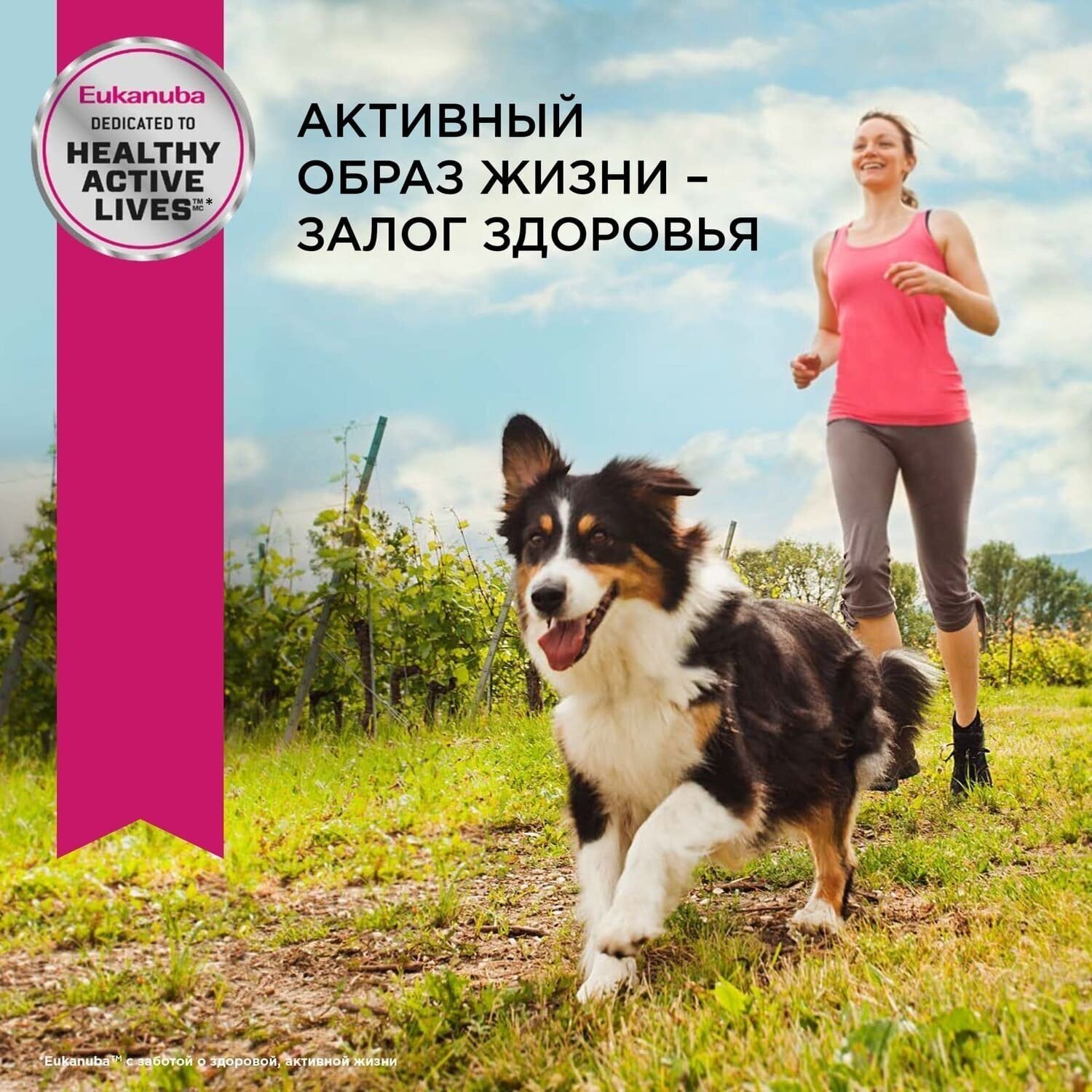 Сухой корм для собак Eukanuba для здоровья кожи и шерсти, для ухода за ротовой полостью, курица 800 г - фотография № 14