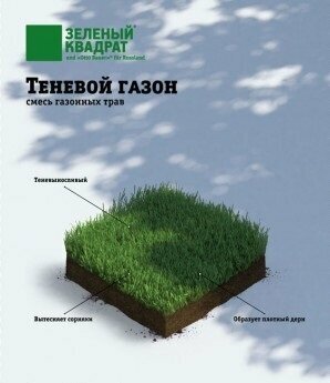 Газоны «Зеленый квадрат»: виды газонной травы, состав семян, отзывы