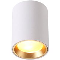 Накладной светильник Odeon Light Aquana 4206/1C, GU10, 50Вт, кол-во ламп:1шт, Белый