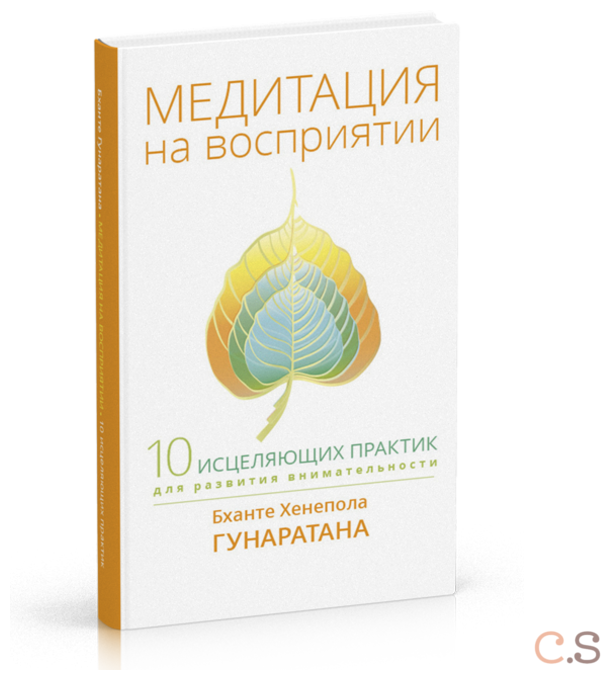 Медитация на восприятии. Десять исцеляющих практик для развития внимательности - фото №6