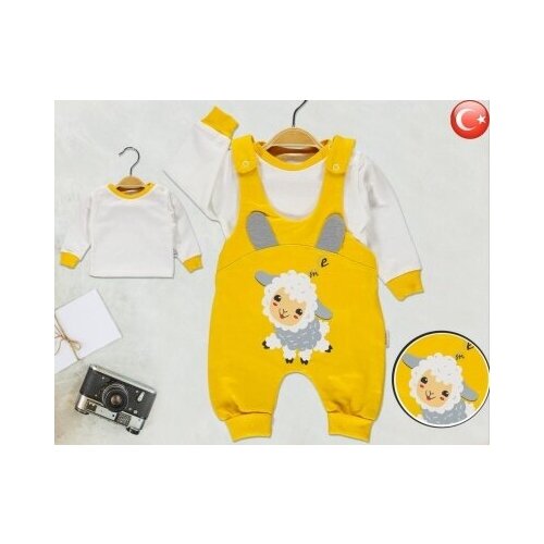 Комплект одежды   детский, комбинезон и джемпер, повседневный стиль, размер 62, желтый