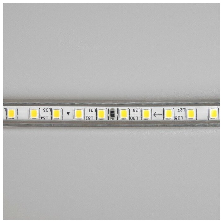Светодиодная лента Uniel, 10x7 мм, 50 м, LED/м-120-SMD2835-220V, 10 Вт/м, IP67, Т/белый - фотография № 7