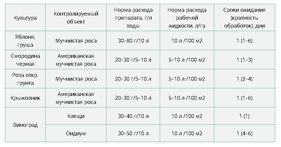 Ваше хозяйство Средство для защиты садовых культур от мучнистой росы и клещей Тиовит Джет, 90 г — фото 1