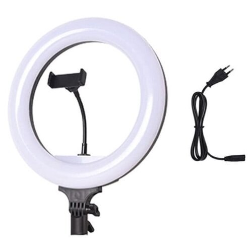 Светодиодная кольцевая лампа Nonpolar Dimming LED 32 см Бело-черный 230900₽