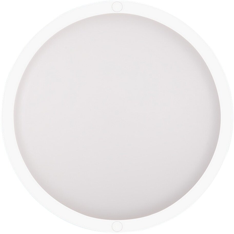 Светильник светодиодный накладной Duwi ДБП-18 4000К 18 Вт IP65 белый с датчиком движения опал (25123 1)