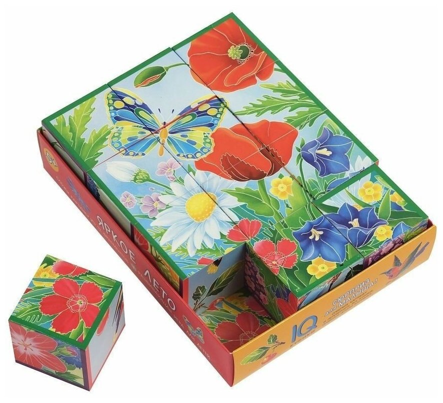 Умные кубики в поддончике. Яркое лето. 12 штук