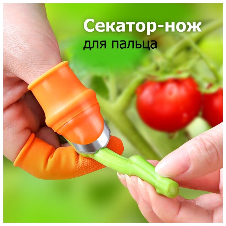 Секатор-нож для пальца 'Урожайная сотка'