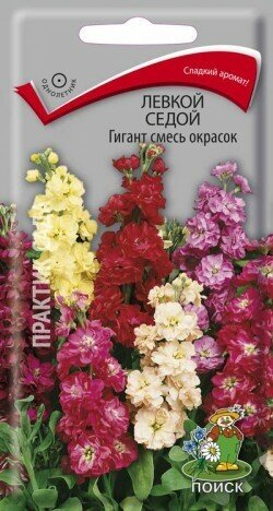 Левкой седой Гигант Смесь окрасок однол. 0,1гр. (Поиск)