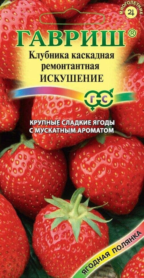 Гавриш Земляника (Клубника) ампельная Искушение пробирка 10 семян