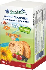 Сухарики детские Fleur Alpine мини с изюмом и клюквой, с 3-х лет, 100 гр