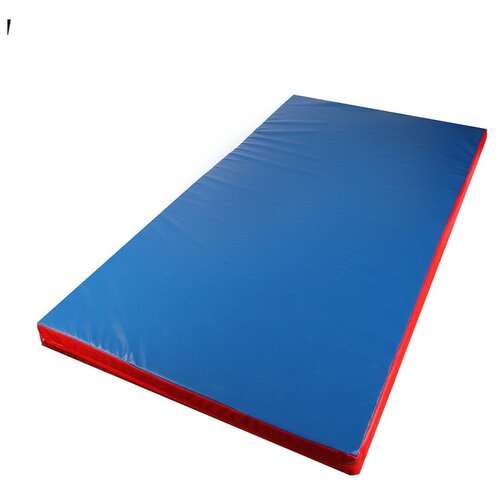 фото Мат 200 х 100 х 10 см, винилискожа, цвет синий/красный сима-ленд