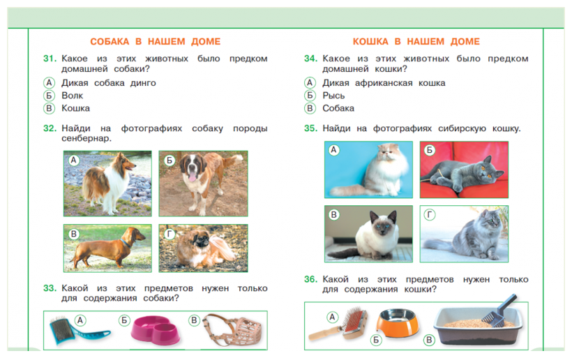 Окружающий мир. 1 класс. Тесты. - фото №2