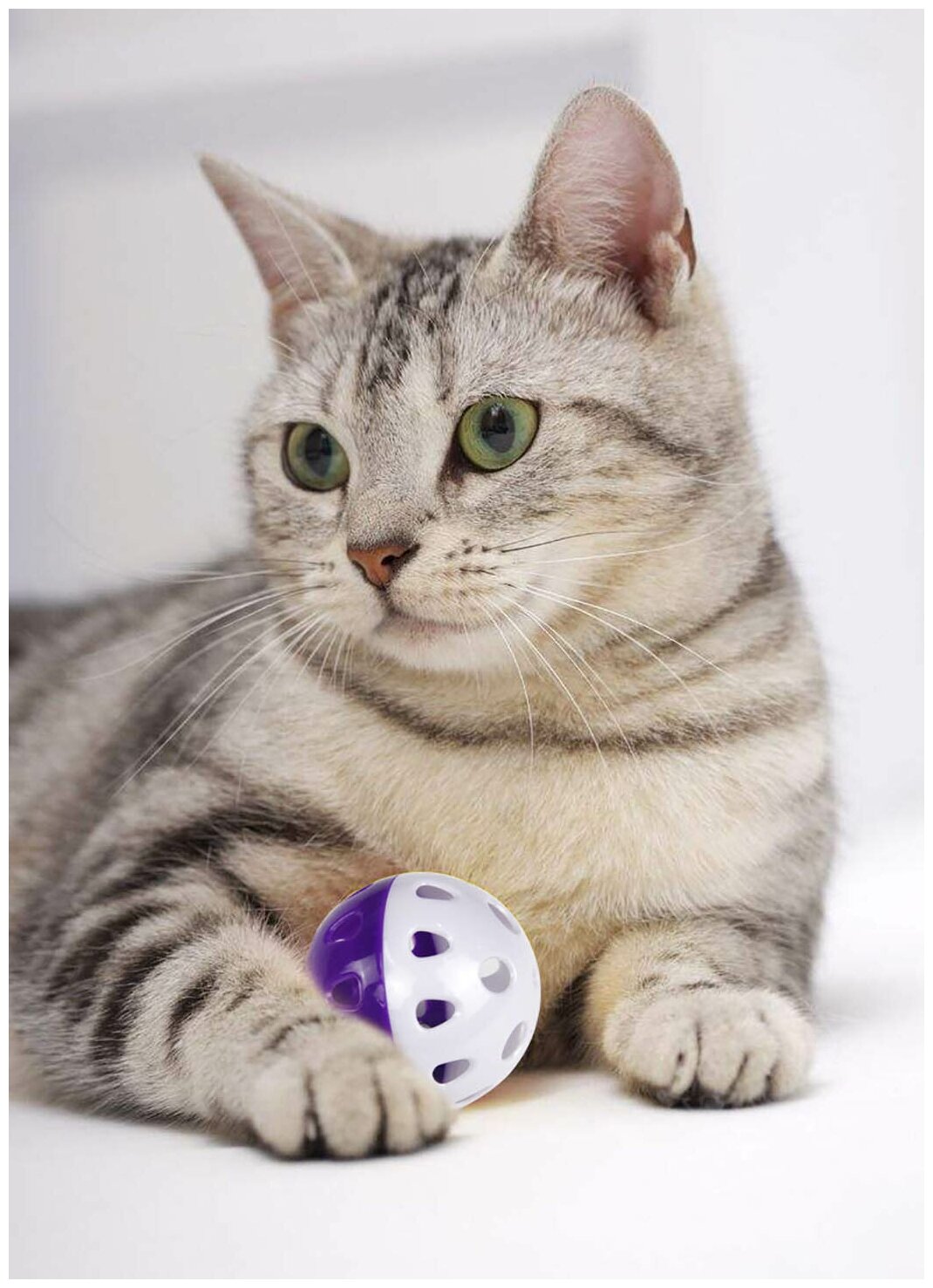Набор мячиков с колокольчиком игрушки для кошек 4 шт - фотография № 3