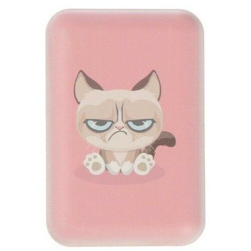 Внешний аккумулятор Ritmix RPB-10007 Grumpy Cat 169500₽
