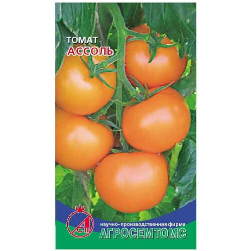 Семена Томат Ассоль (оранжевый, скороспелый) Агросемтомс