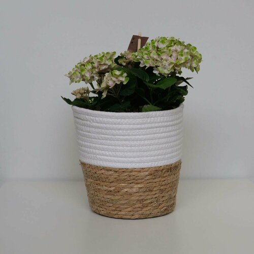 Корзина-кашпо для растений, д20, в19