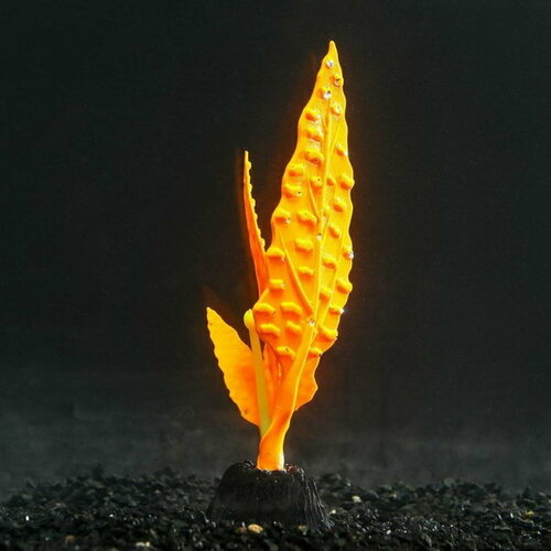 Растение силиконовое аквариумное, светящееся в темноте, 5 x 14 см, оранжевое