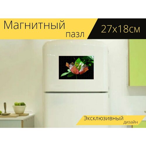 Магнитный пазл Морозник, цветок, семена на холодильник 27 x 18 см. магнитный пазл розовый морозник цветок на холодильник 27 x 18 см