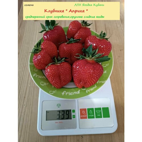 Клубника 