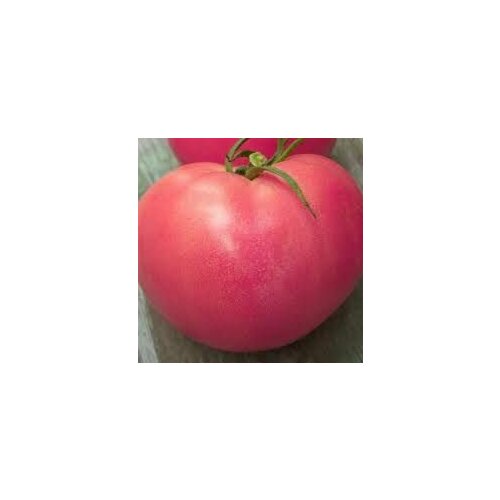 Коллекционные семена томата Китайская новинка