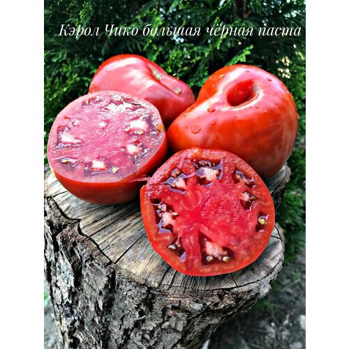 Коллекционные семена томата Большая паста Кэрол Чико