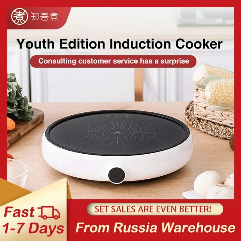 Индукционная плита Xiaomi Zhiwuzhu Induction Cooker Youth Edition (ZCL010) - фото №3