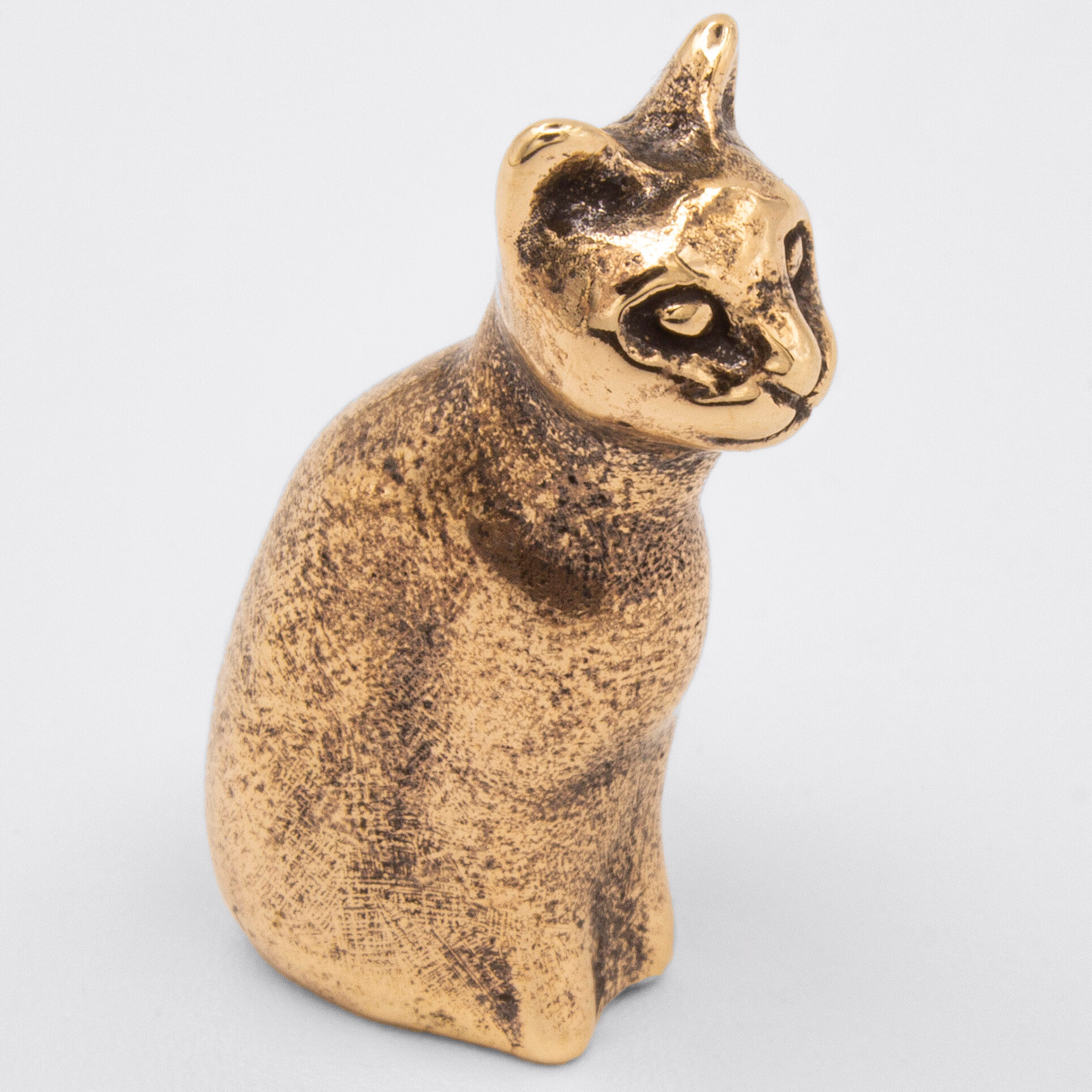 фото Кошка из Плёса Фигурка Бронза