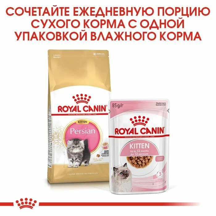 Persian 32 Kitten для Персидской породы, с 4 до 12 месяцев сух. 2кг ROYAL CANIN - фото №3