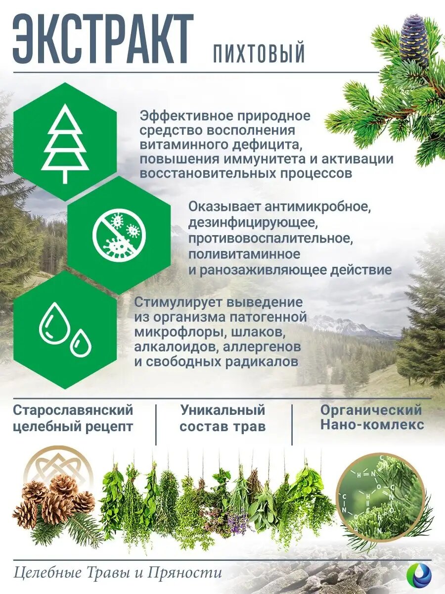 Изображение Напиток растительный пихтовый