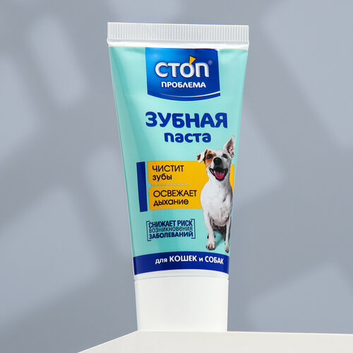 Зубная паста 