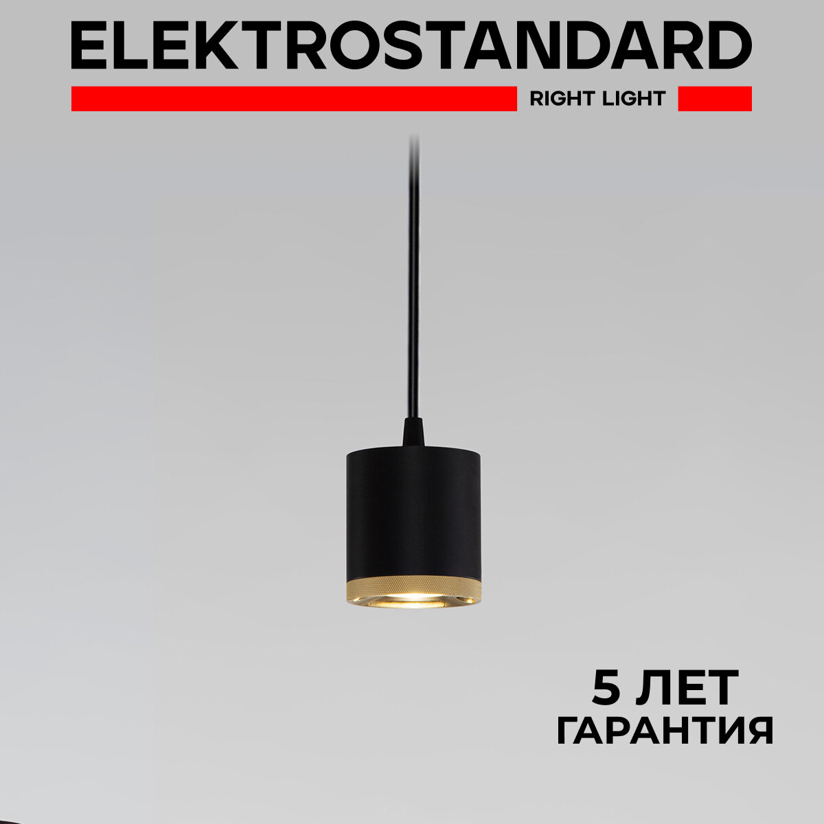 Подвесной светодиодный светильник Elektrostandard Lead 50243 LED, 12 Вт, 4200K, цвет черный/золото