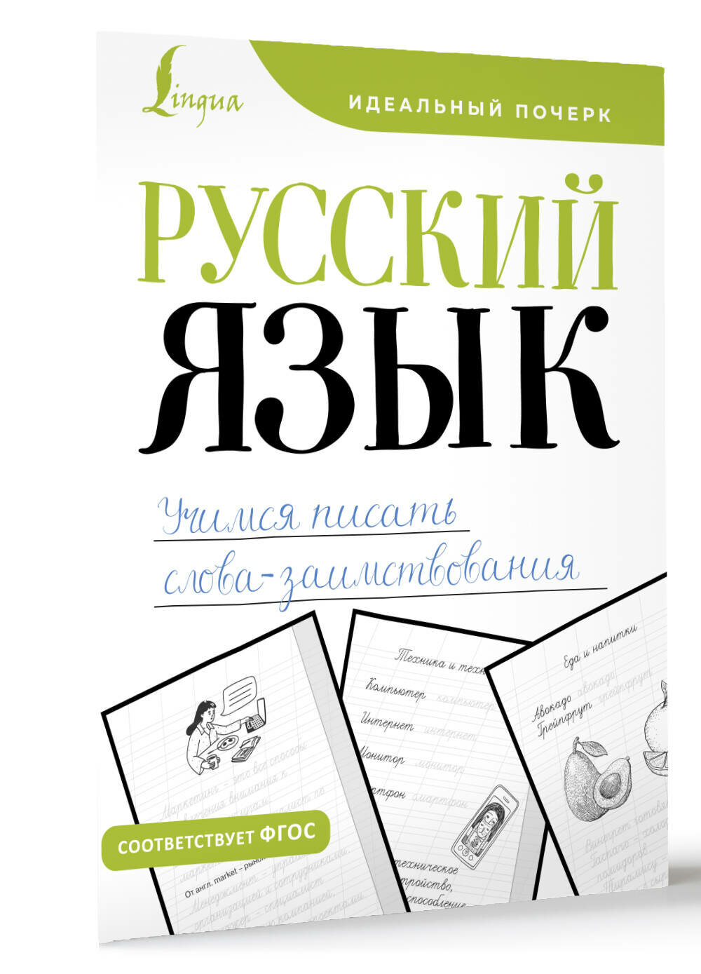 Русский язык. Учимся писать слова-заимствования .