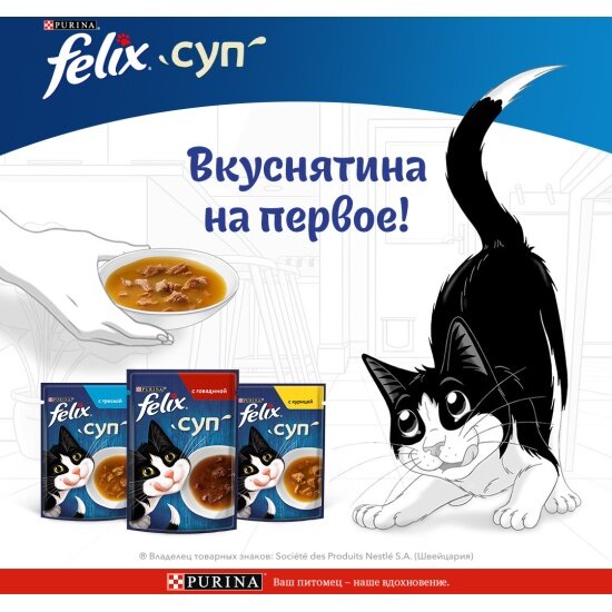Влажный корм для взрослых кошек Felix Суп с треской в соусе 48 г x 36 шт — фото 1