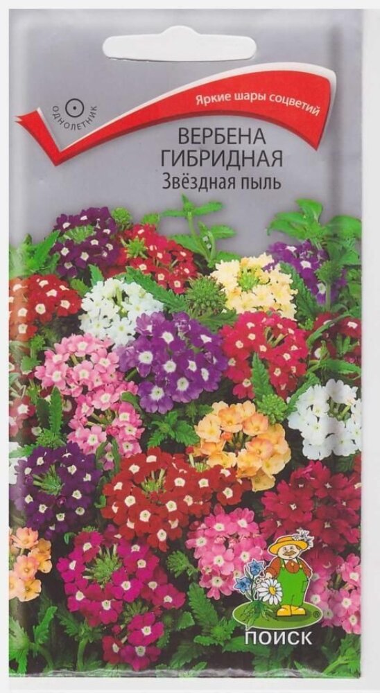 Семена Вербена Звездная пыль гибридная 02г Одн 20см (Поиск)