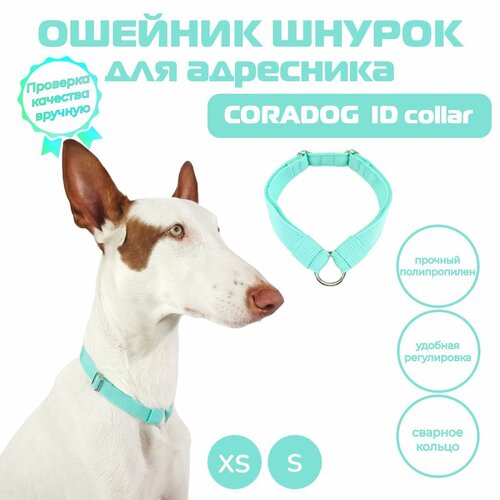 Ошейник шнурок для адресника, CORADOG ID collar, размер XS, мятный
