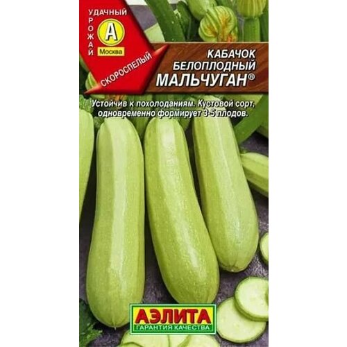 Кабачок Мальчуган ( 3 упаковки ), семена
