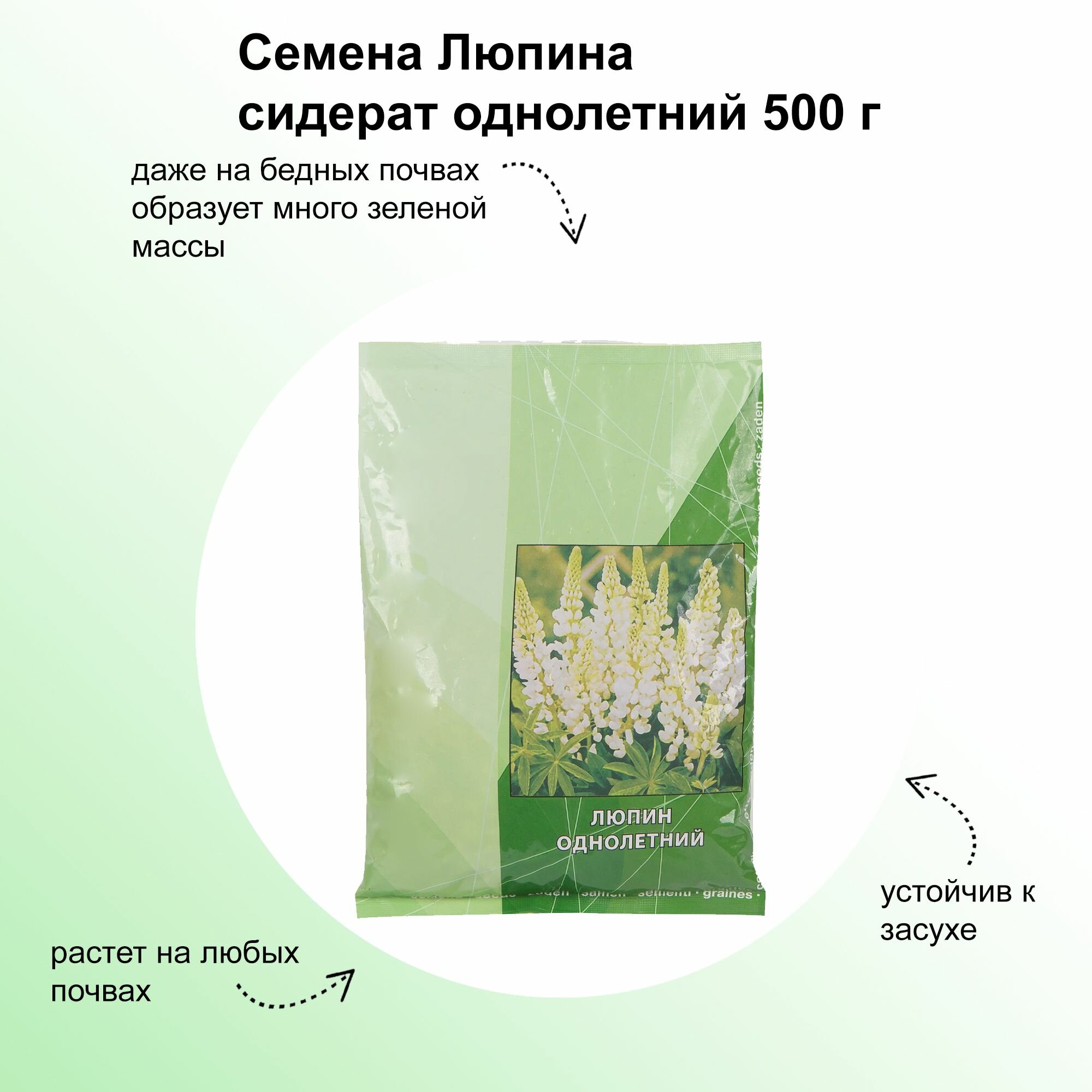 Семена Люпина сидерат однолетний 500 г: отличаются морозоустойчивостью и неприхотливостью насыщают почву фосфором и калием помогая получить больше урожая.