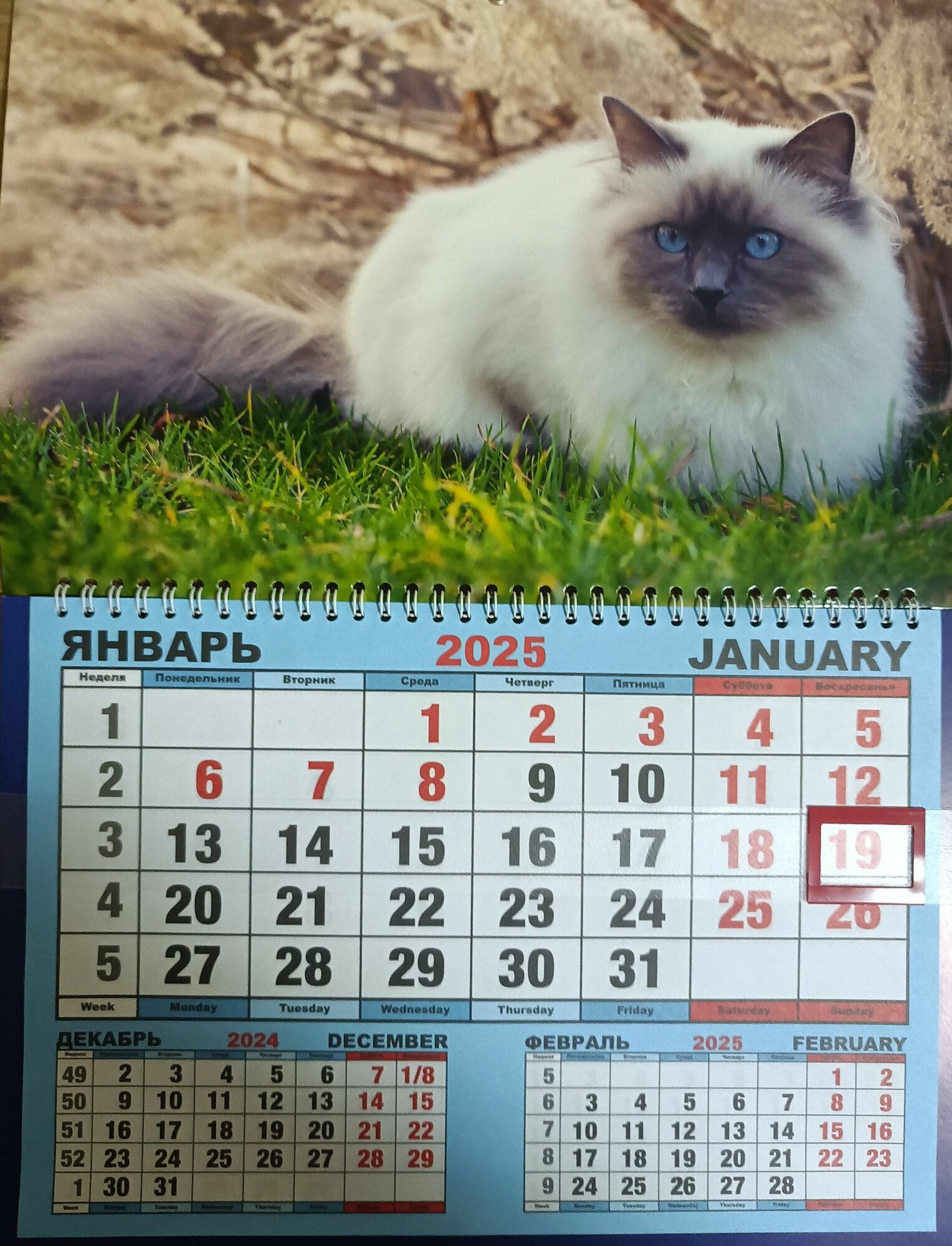 Календарь 2025 настенный одноблочный
